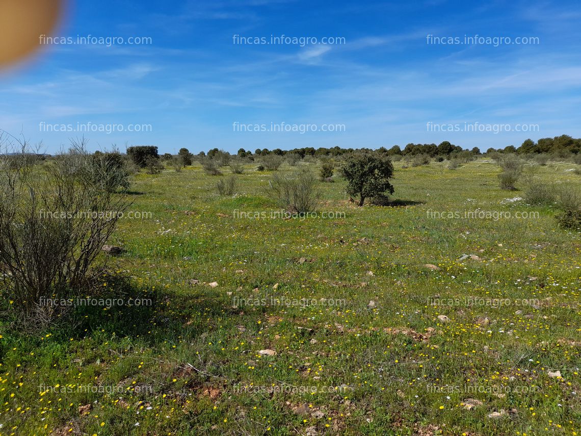 Fotos de A la venta parcela ( reforestaciones ) 7.1ha ( agua ) 