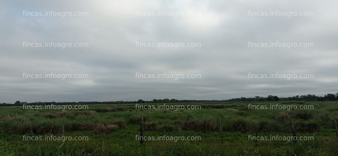 Fotos de Se vende Campo Mixto de 500 Has en La Leonesa. Chaco