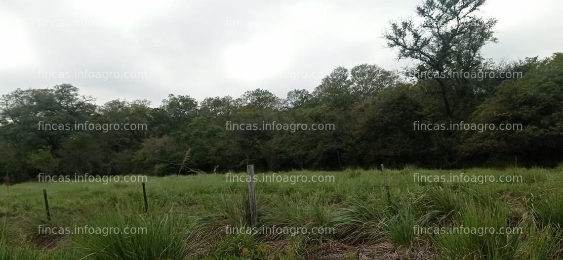 Fotos de Se vende Campo Mixto de 500 Has en La Leonesa. Chaco