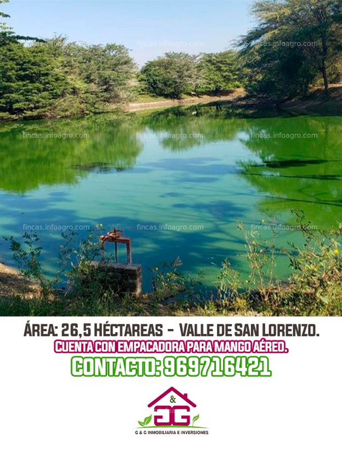 Fotos de En venta  ⚠ÚLTIMOS DÍAS DE VENTA⚠