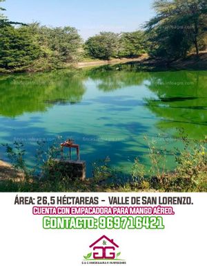 En venta  ⚠ÚLTIMOS DÍAS DE VENTA⚠