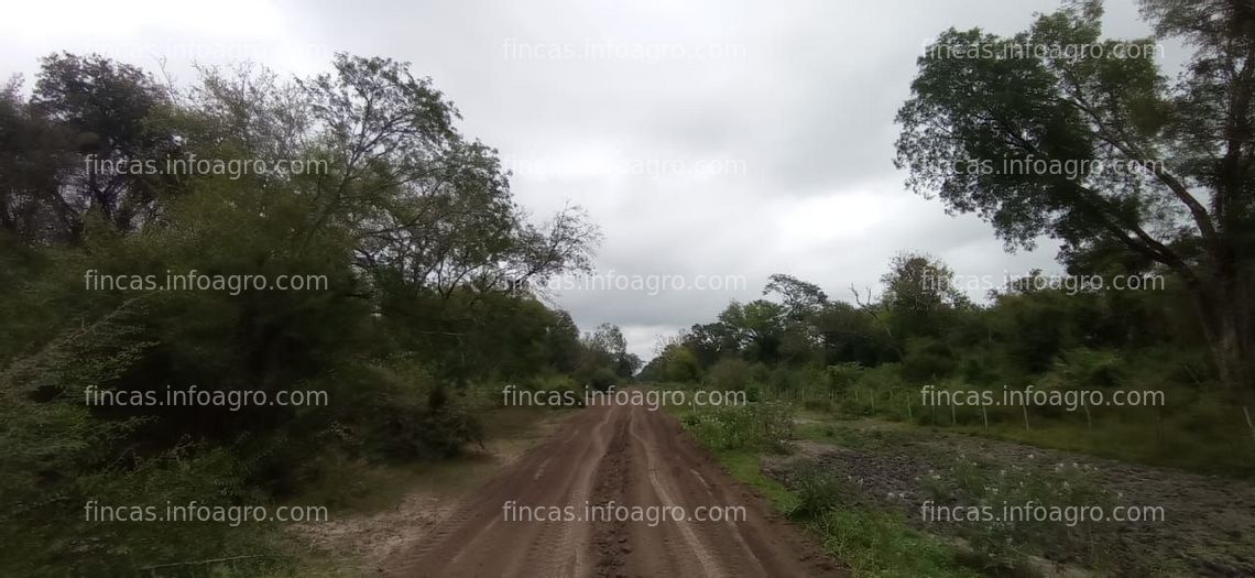 Fotos de En venta  Campo Mixto De 520 Has Gral. San Martin Chaco. Argentina