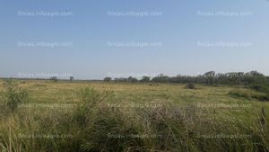 Vendo Estancia de 3500 Has. La Escondida. Chaco. Argentina. Ap. Mixta, B° Privado, se pueden vender con 1500 animales. Brangus negro.