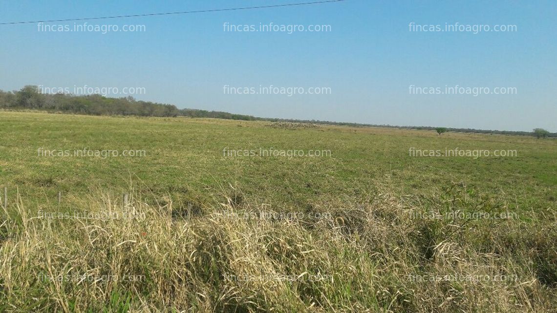 Fotos de En venta  Estancia de 3500 Has. La Escondida. Chaco. Argentina. Ap. Mixta, B° Privado, se pueden vender con 1500 animales. Brangus negro.