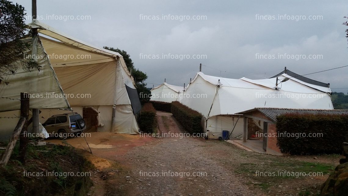 Fotos de A la venta Finca Agroganadera en Santa Rosa de Osos, Antioquia