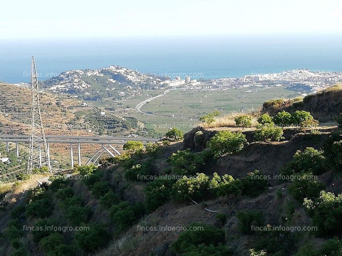 Fotos de En venta  FINCA RUSTICA EN PLENA PRODUCCION EN PARAJE BARRANCO DE ITRABO (ALMUÑÉCAR)