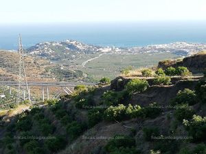 En venta  FINCA RUSTICA EN PLENA PRODUCCION EN PARAJE BARRANCO DE ITRABO (ALMUÑÉCAR)