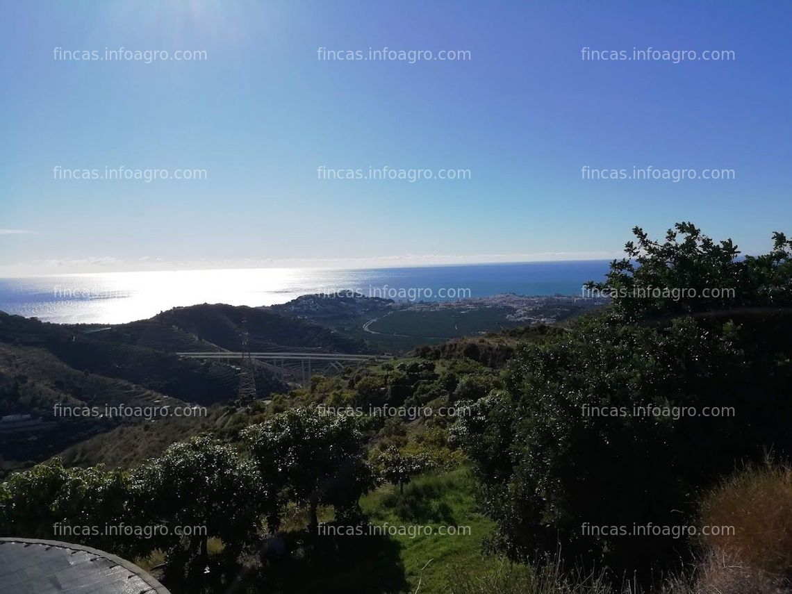 Fotos de En venta  FINCA RUSTICA EN PLENA PRODUCCION EN PARAJE BARRANCO DE ITRABO (ALMUÑÉCAR)