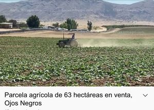 En venta  PARCELA DE 63 HAS EN OJOS NEGREOS