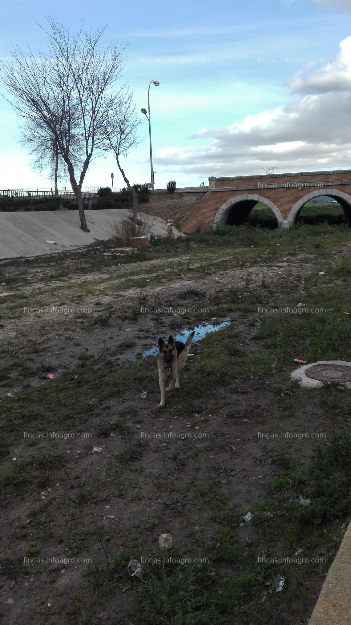 Fotos de En venta  tu finca  260 hectareas  a  39  km  madris