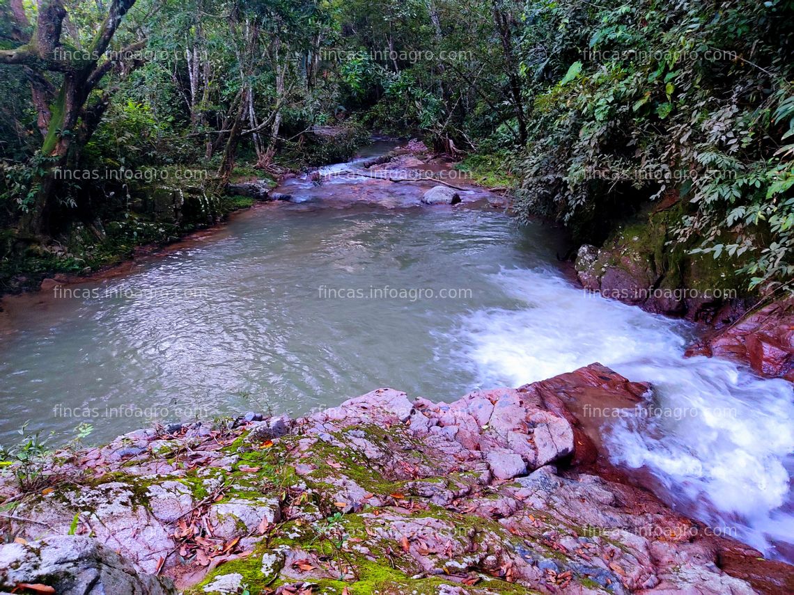 Fotos de Vendo Finca de 250 has bosques protectores, ríos y producción de caña y panela orgánica 