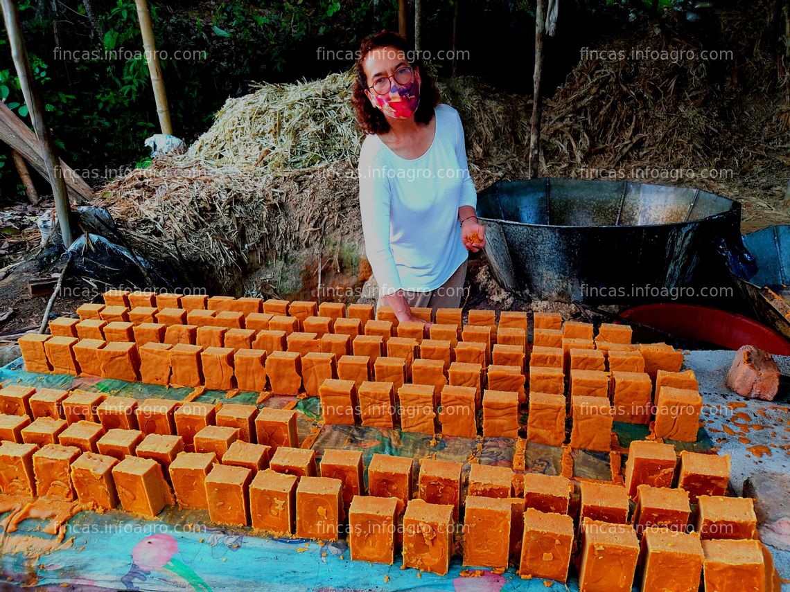 Fotos de Vendo Finca de 250 has bosques protectores, ríos y producción de caña y panela orgánica 