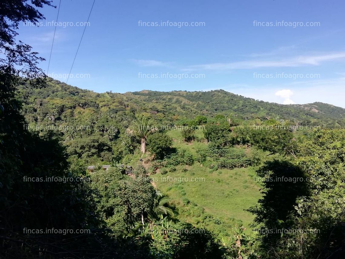 Fotos de Vendo Finca de 250 has bosques protectores, ríos y producción de caña y panela orgánica 