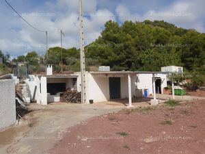 En venta  finca de aguacates, clementina y naranjas