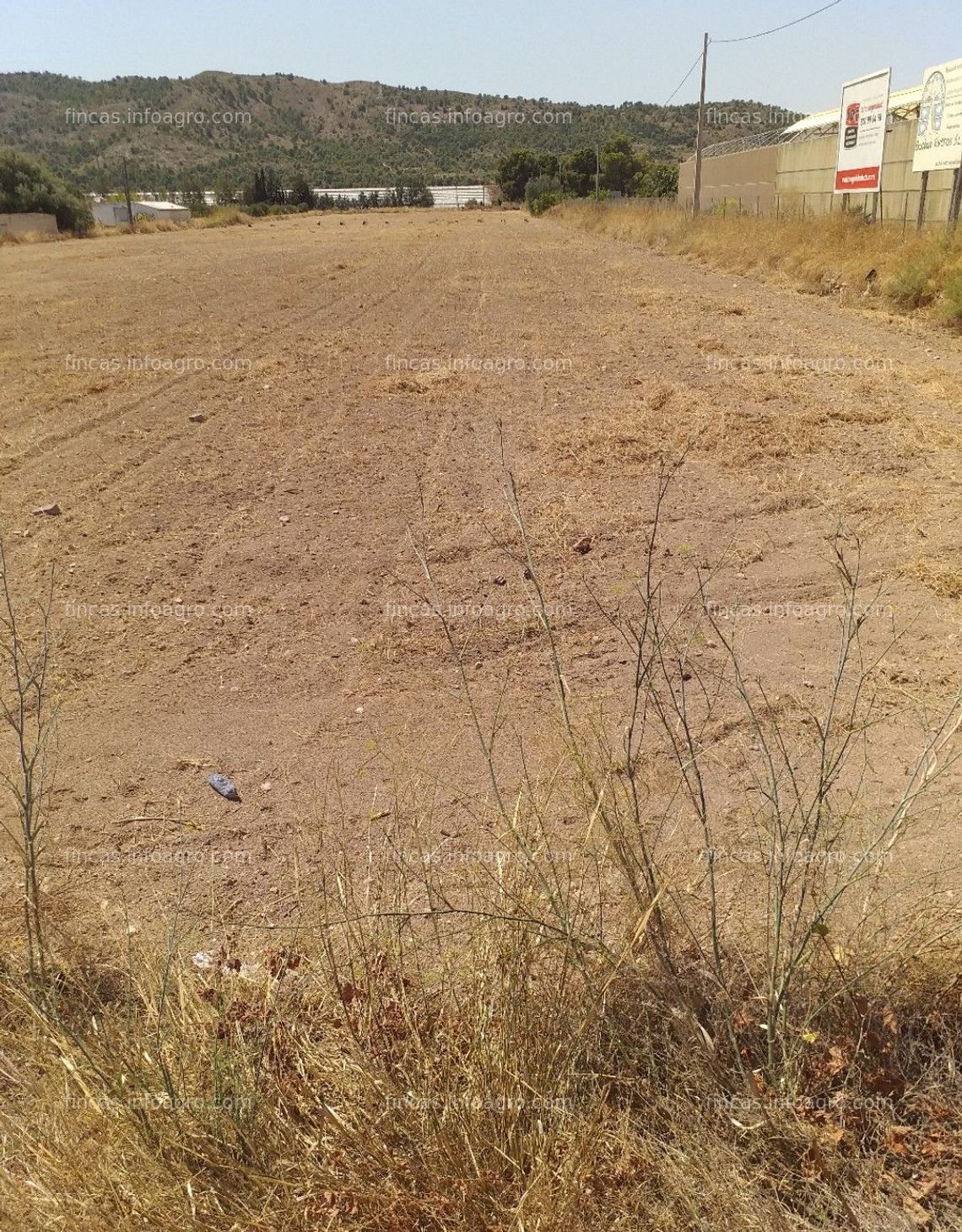 Fotos de Se vende Parcela rustica para edificar o plantar en muy buena zona