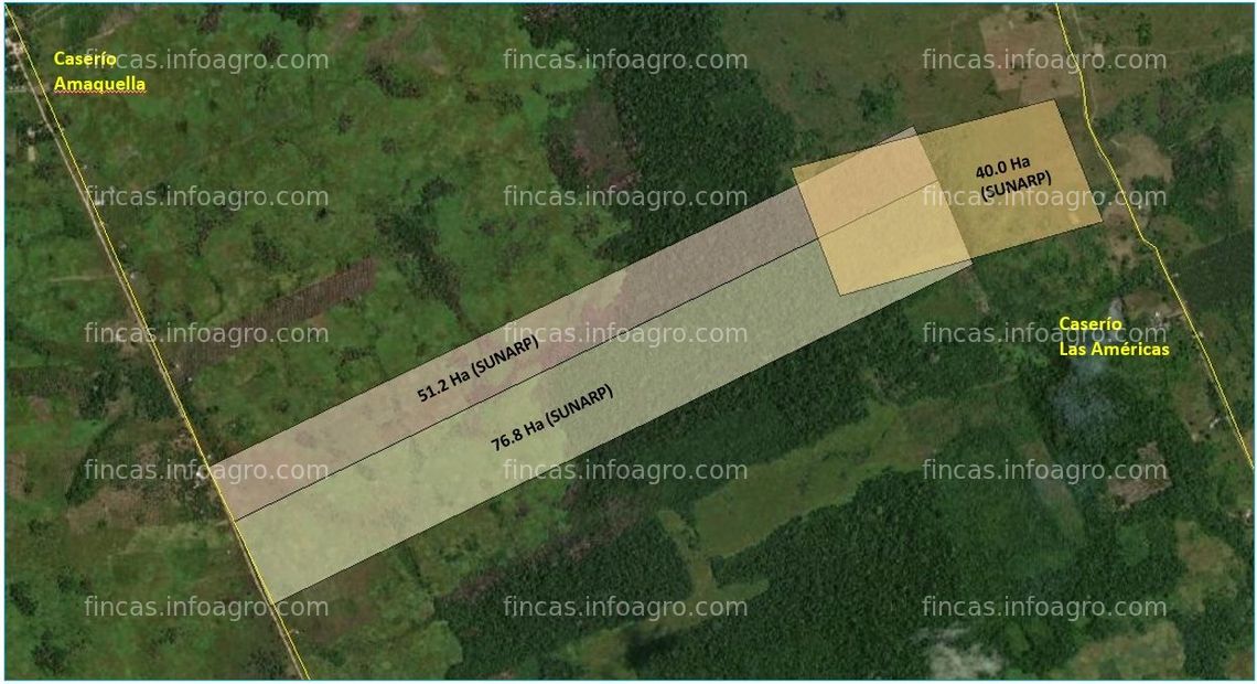 Fotos de A la venta Pucallpa-Campoverde remato terreno titulado 170 ha para palma aceitera, ganadería, cacao y forestación