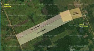 A la venta Pucallpa-Campoverde remato terreno titulado 170 ha para palma aceitera, ganadería, cacao y forestación