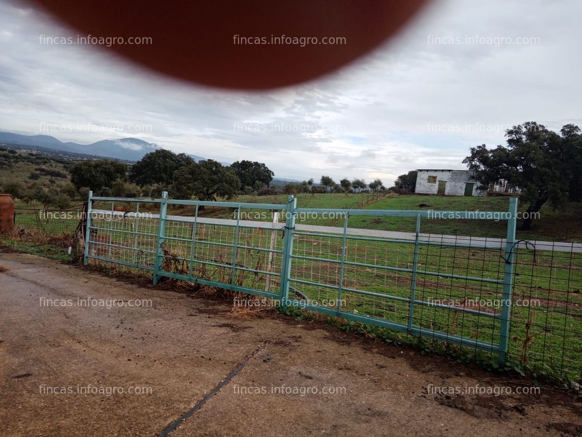 Fotos de Se alquila FINCA 118 HA PARA PASTOS Y MONTANERA 