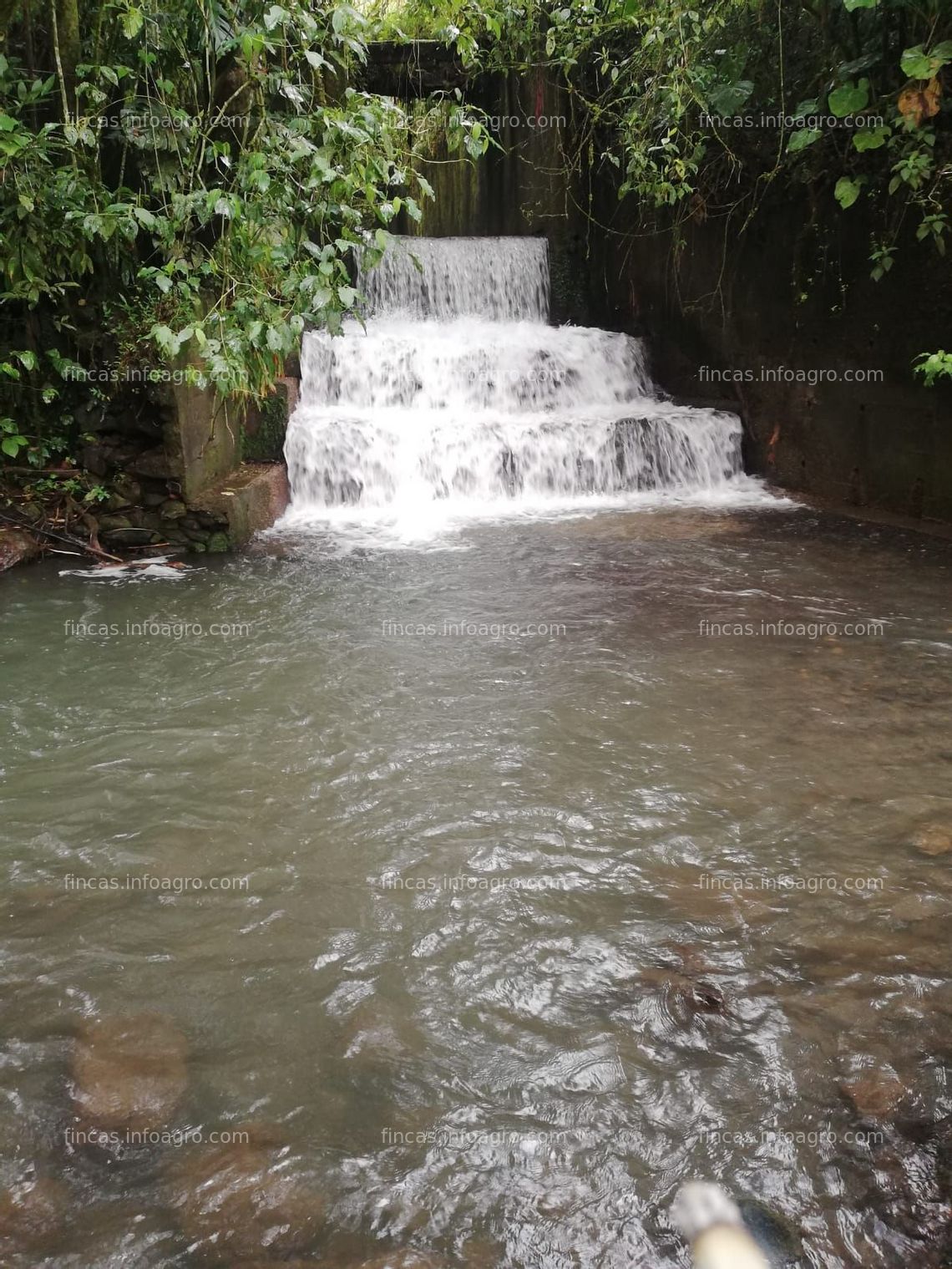 Fotos de Vendo FINCA 5 FANEGADAS