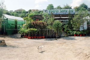 Vendo o Alquila Por Jubilacion Vivero con chalet de lujo