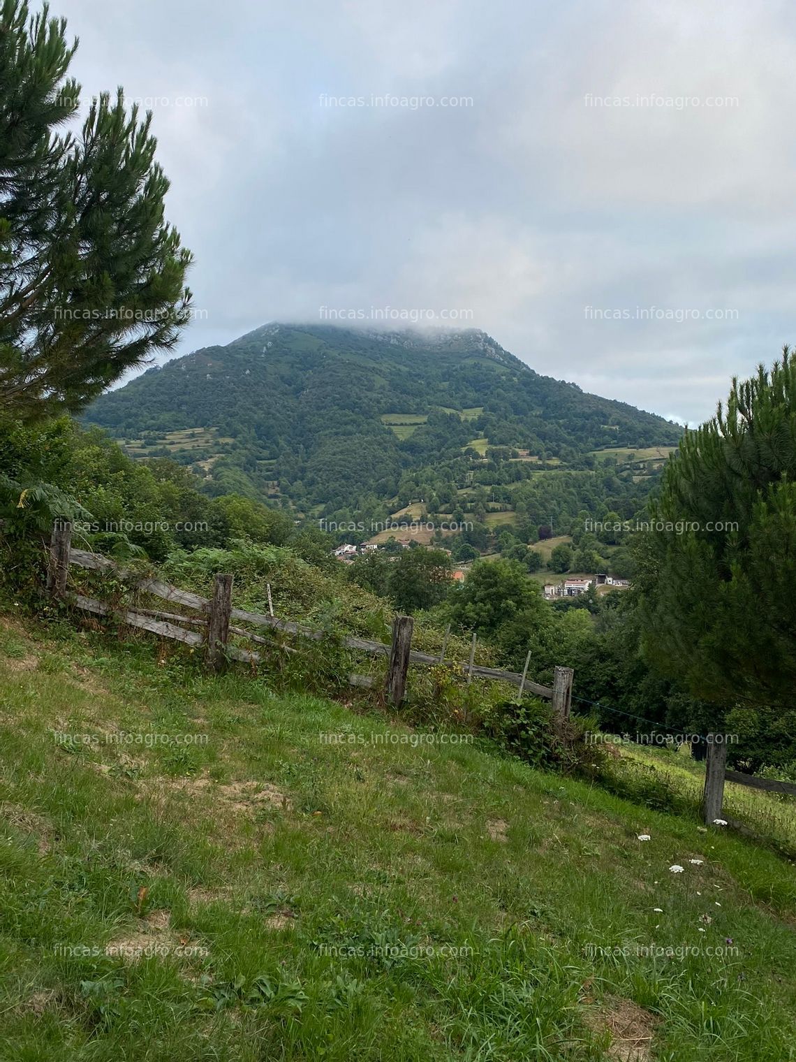 Fotos de En venta  Finca de 30.000 m2 con cabaña asturiana y 4 pequeñas cabañas auxiliares