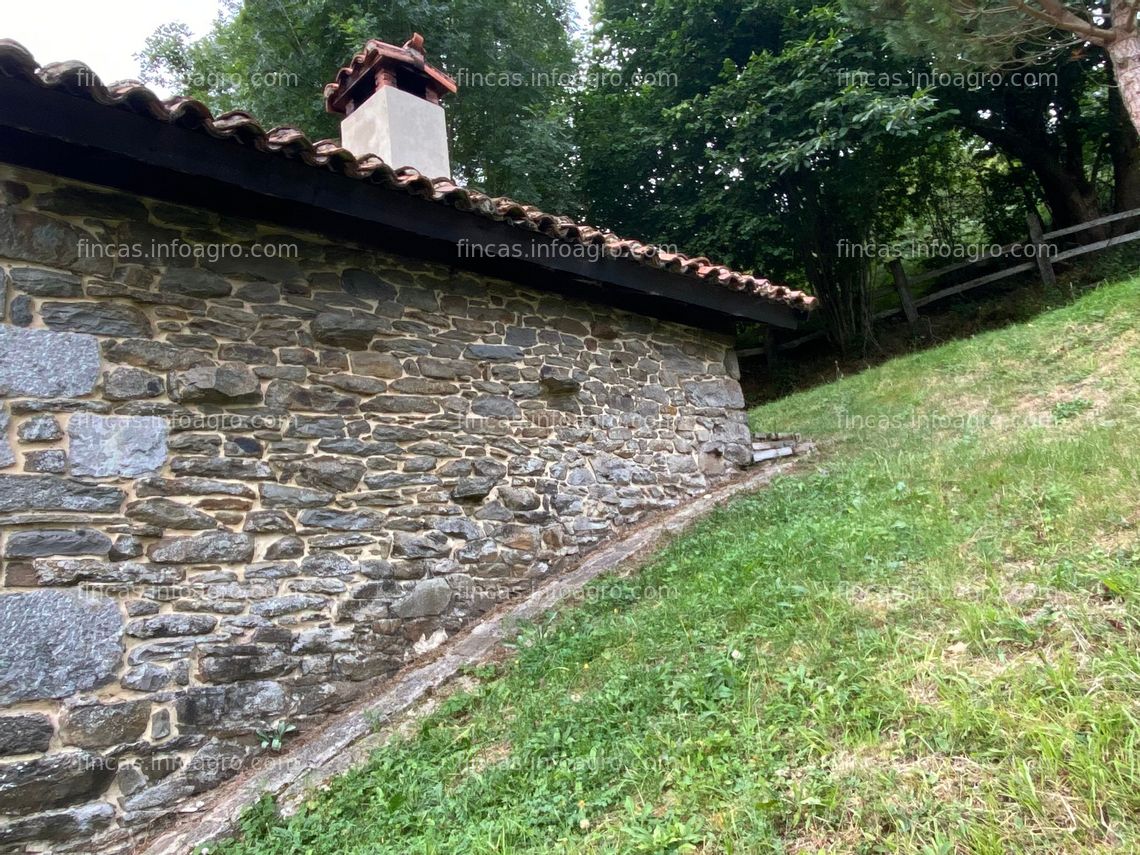 Fotos de En venta  Finca de 30.000 m2 con cabaña asturiana y 4 pequeñas cabañas auxiliares