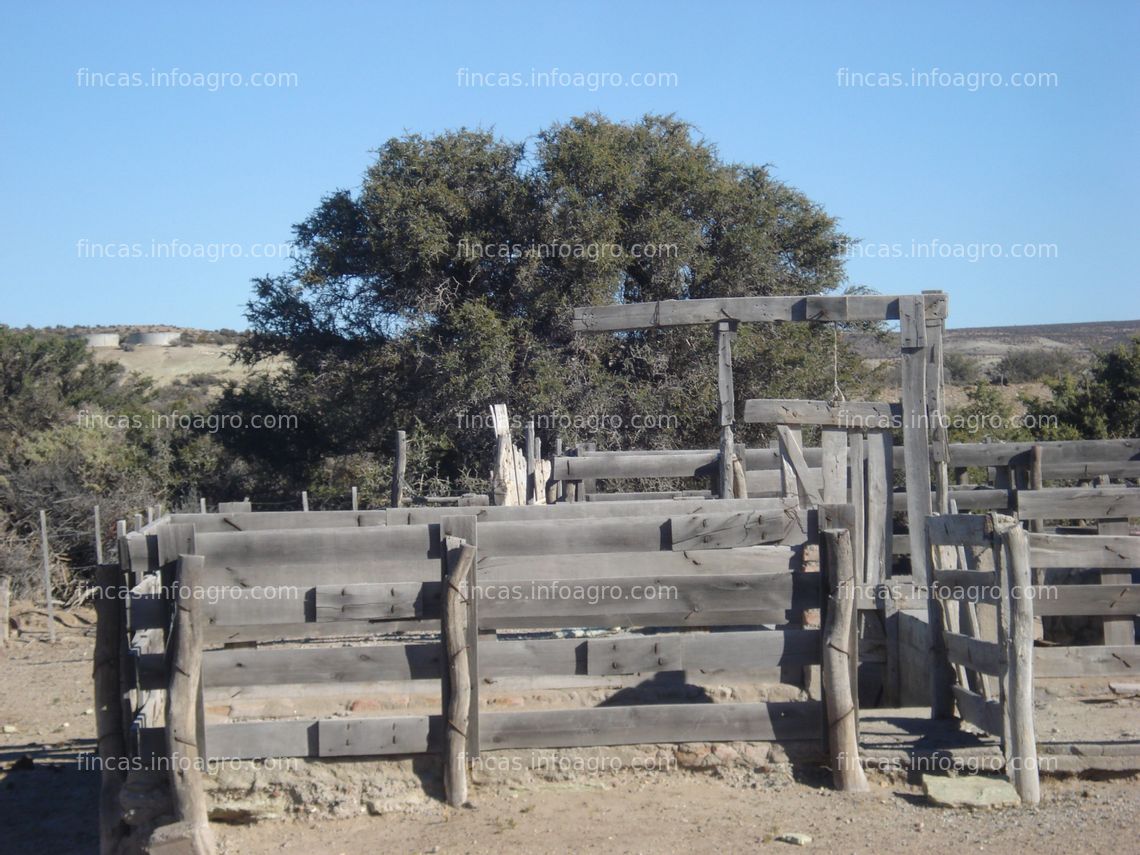 Fotos de A la venta 23.000 hectáreas en LA PATAGONIA Argentina