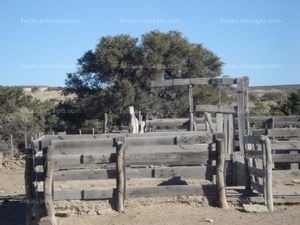 En venta  23.000 hectáreas en La Patagonia, Argentina