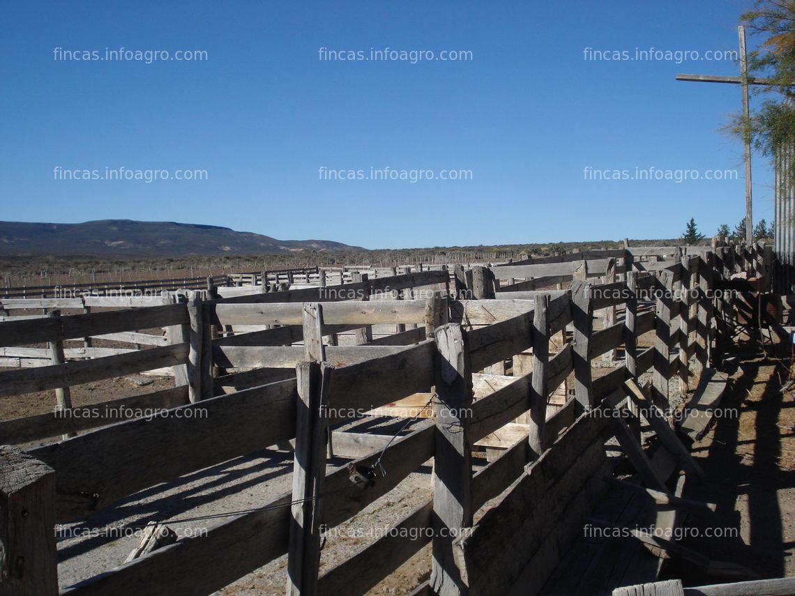 Fotos de A la venta 23.000 hectáreas en LA PATAGONIA Argentina