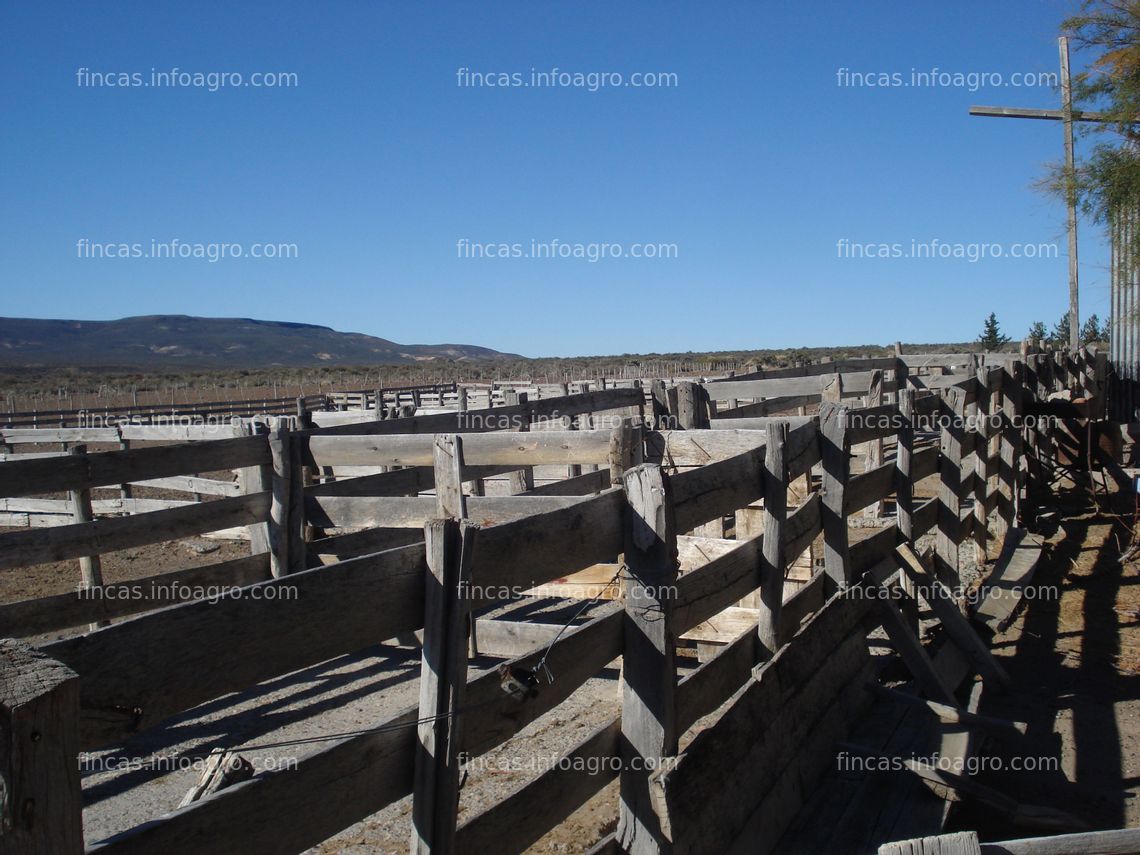 Fotos de En venta  23.000 hectáreas en La Patagonia, Argentina
