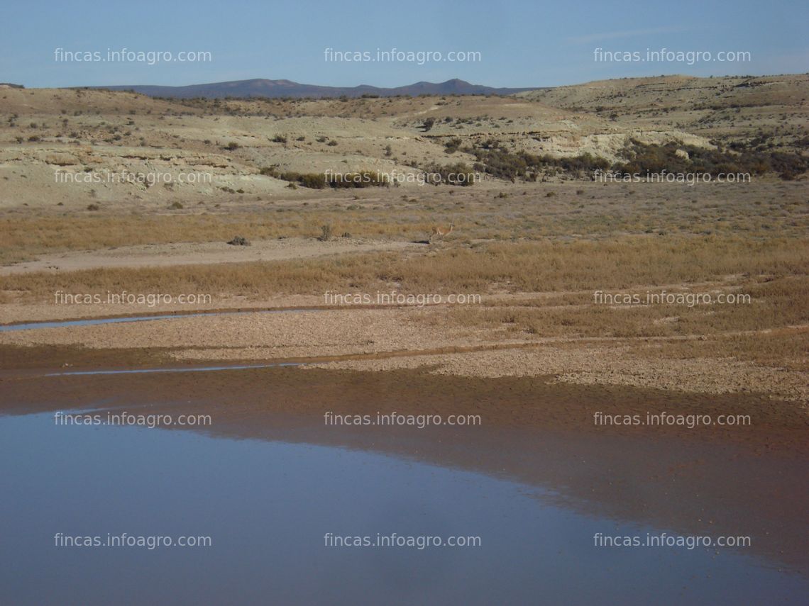 Fotos de A la venta 23.000 hectáreas en LA PATAGONIA Argentina