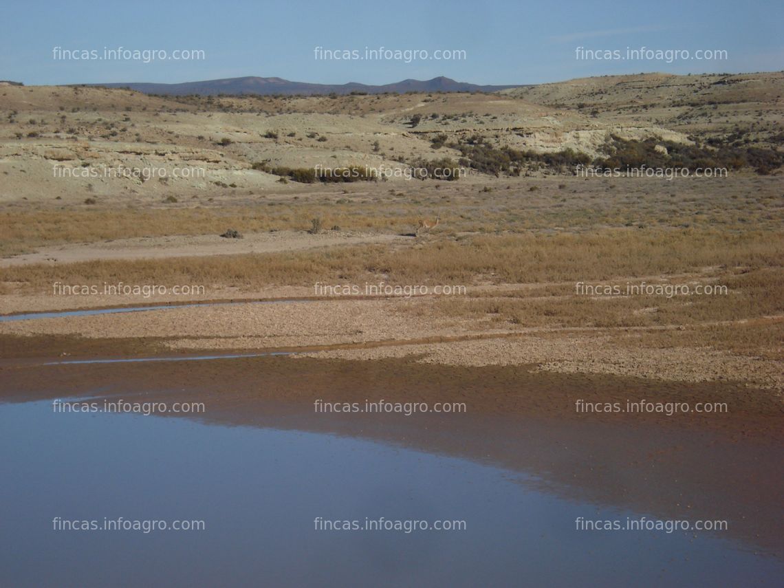 Fotos de En venta  23.000 hectáreas en La Patagonia, Argentina