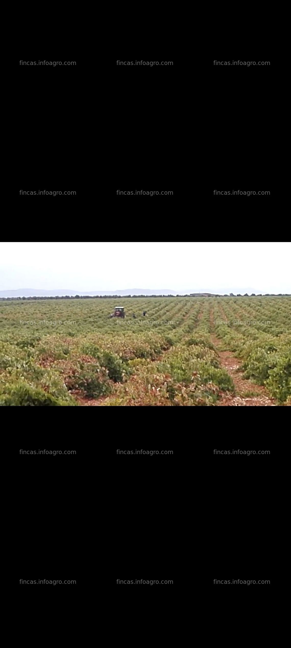 Fotos de En venta  Finca de viñedo en Malagon. Campo Mojao. Camino de Almagro