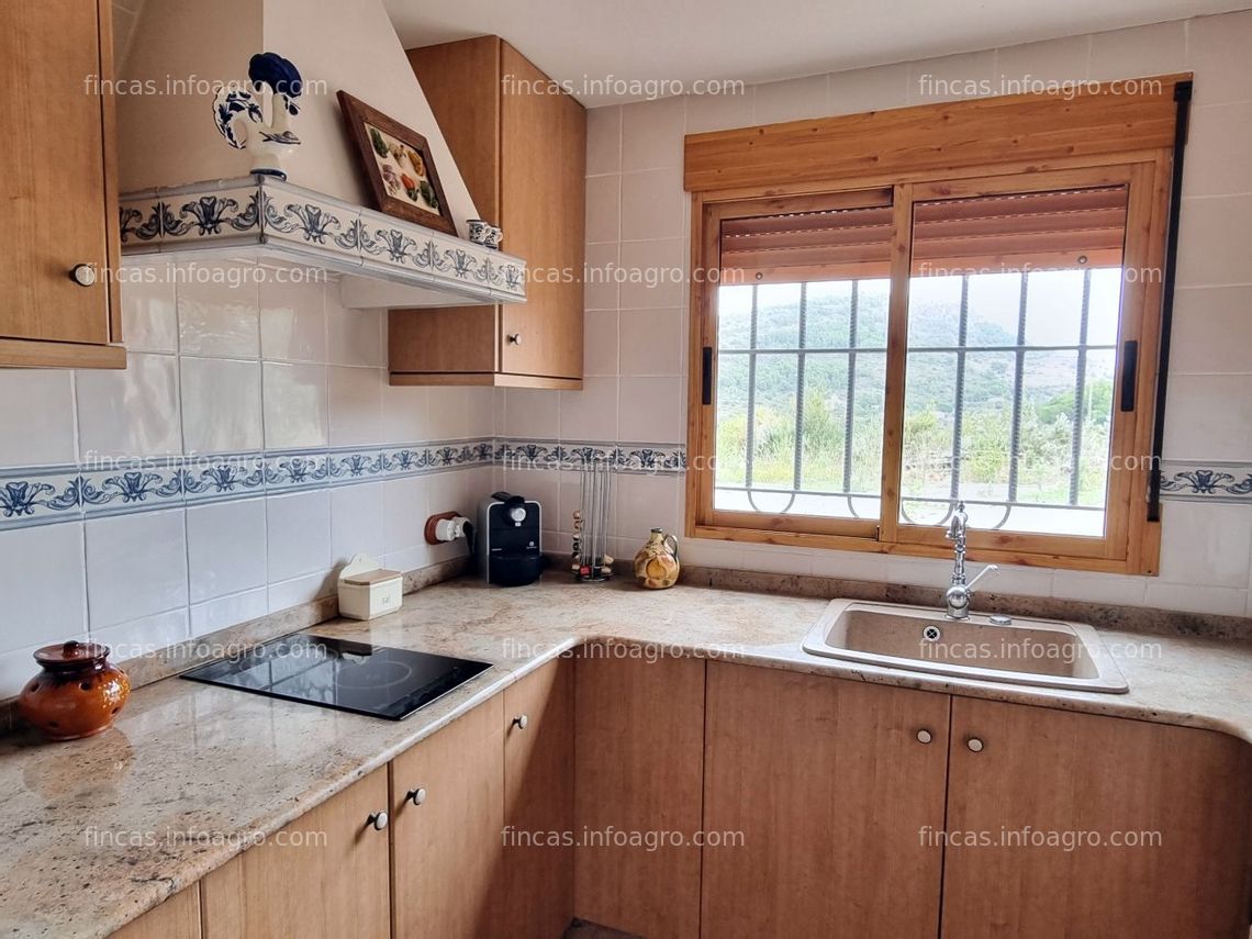 Fotos de En venta  Gran finca citrícola 