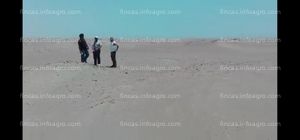 En venta Oferto terreno agrícola en Paijan ( Fundo Mocan _ sector La Arenita 3ra etapa) Trujillo