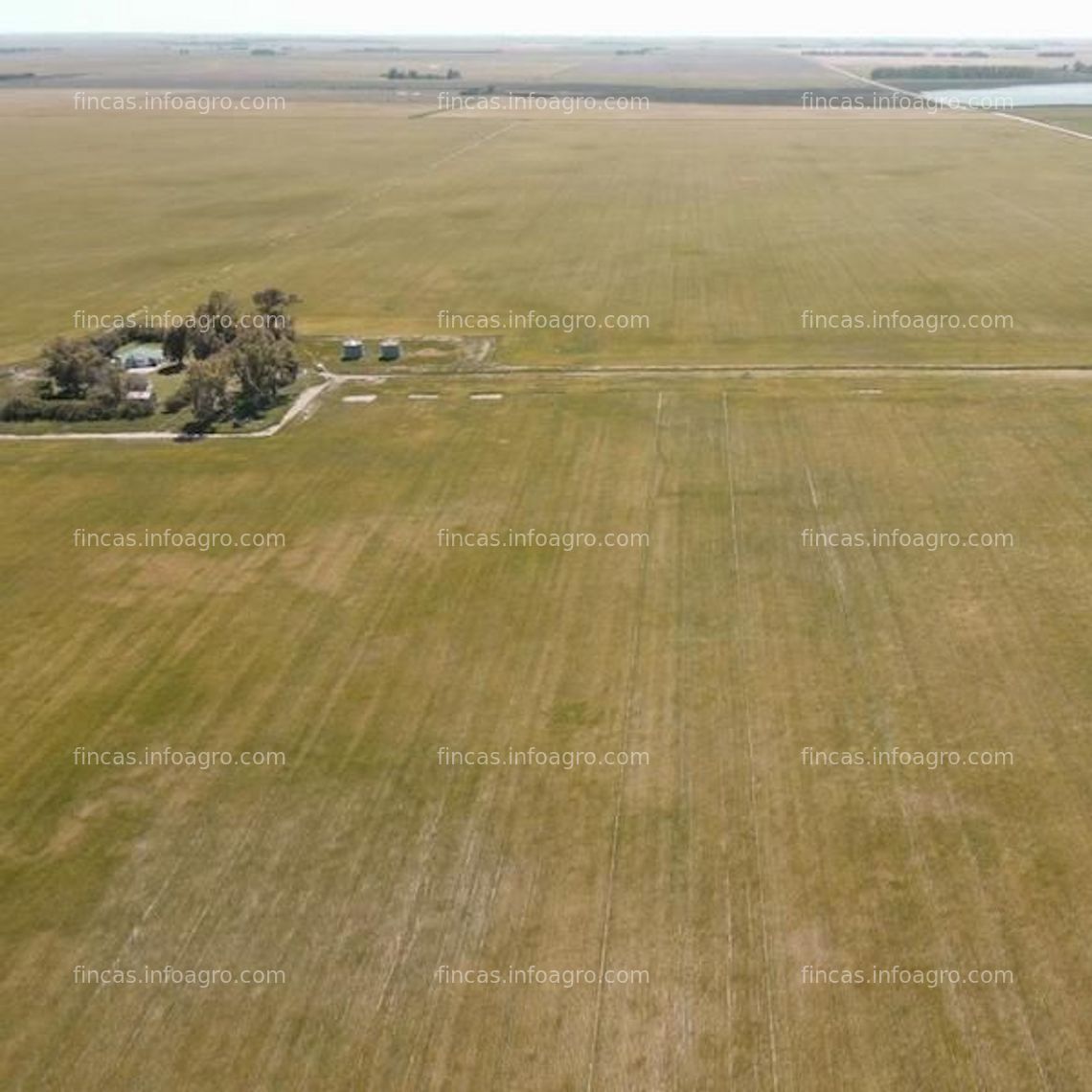 Fotos de Vendo Finca Agrícola y Ganadera  en Argentina - Provincia de Buenos Aires, 332 hectáreas