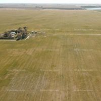 Fotos de Vendo Finca Agrícola y Ganadera  en Argentina - Provincia de Buenos Aires, 332 hectáreas