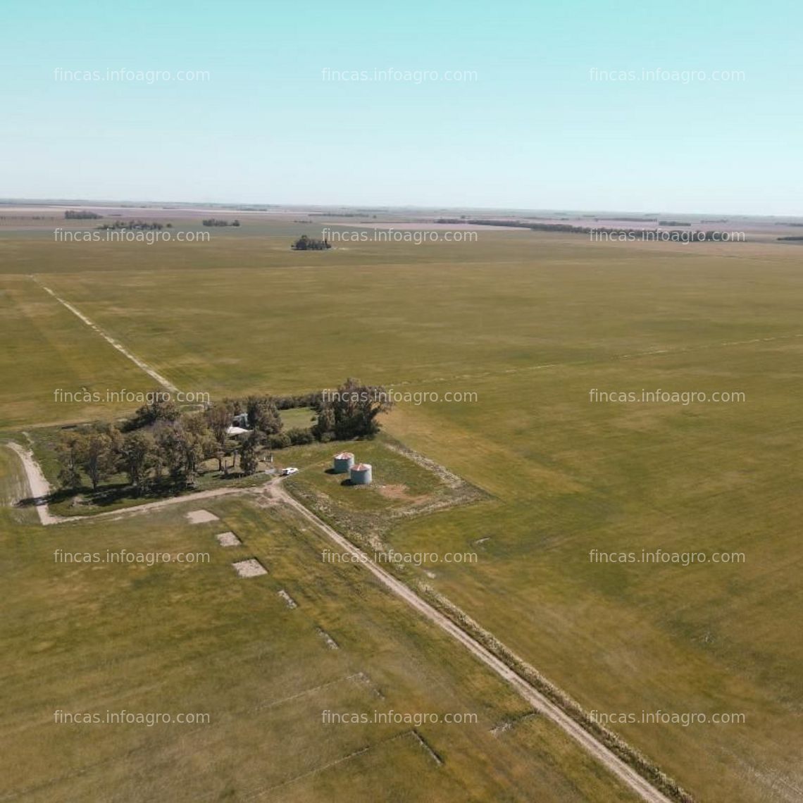 Fotos de Vendo Finca Agrícola y Ganadera  en Argentina - Provincia de Buenos Aires, 332 hectáreas