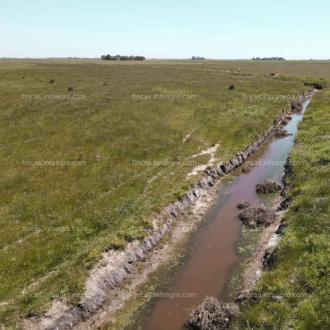 Fotos de Vendo Finca Agrícola y Ganadera  en Argentina - Provincia de Buenos Aires, 332 hectáreas