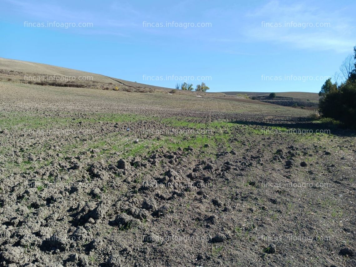 Fotos de Se vende FINCA DE REGADÍO 