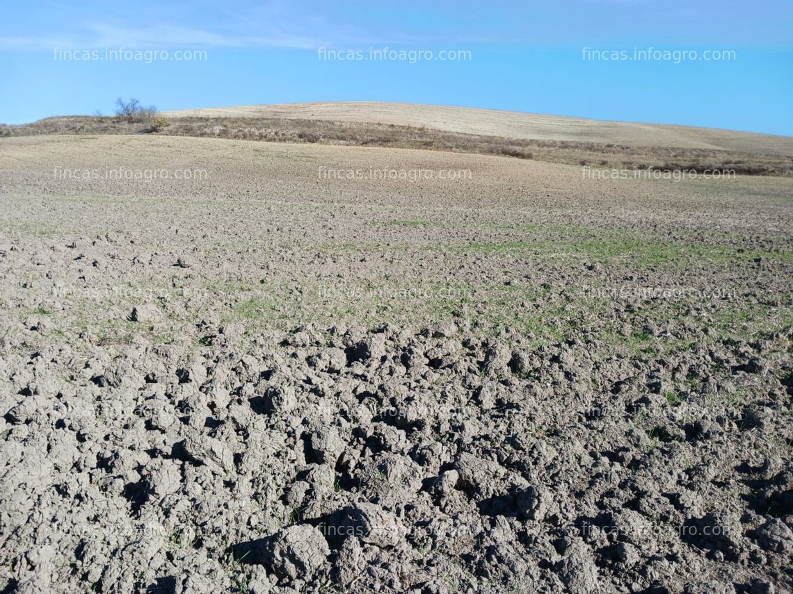 Fotos de Se vende FINCA DE REGADÍO 