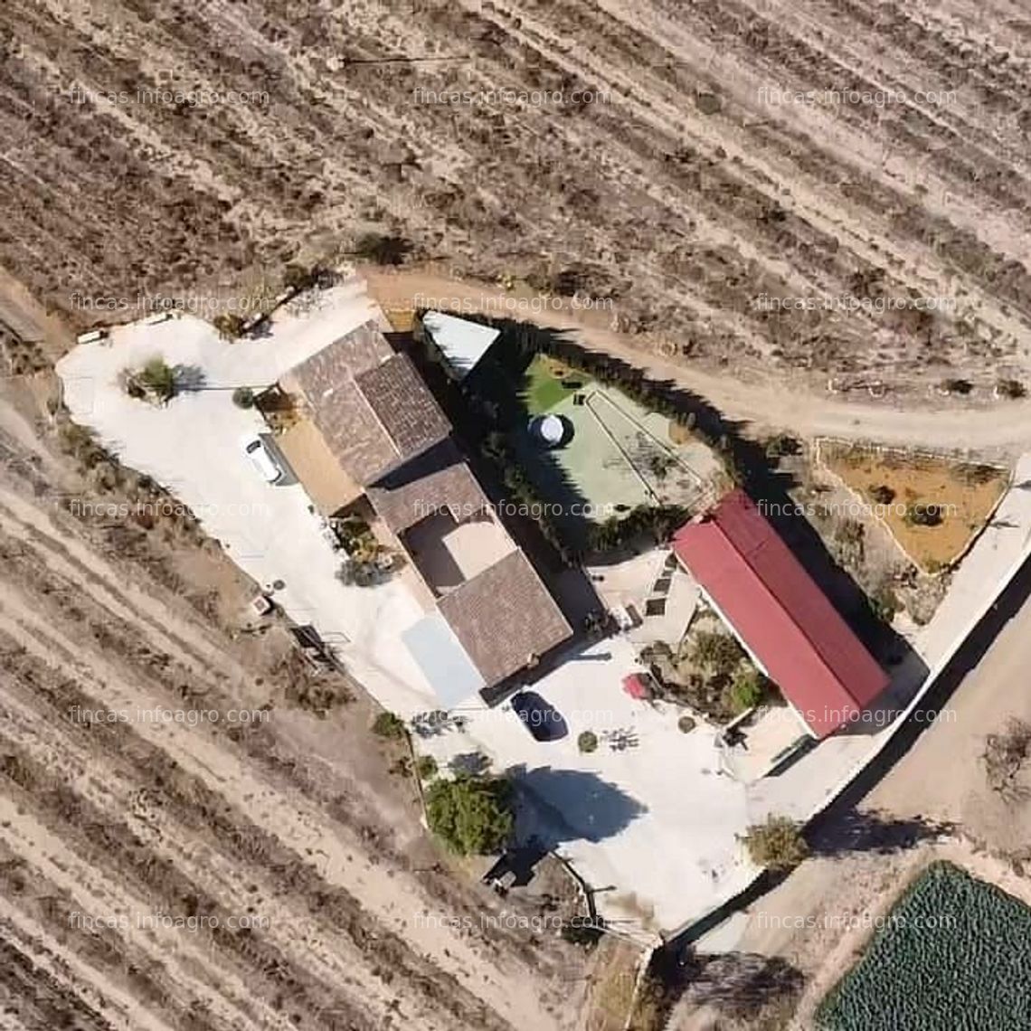 Fotos de En venta  finca agricola de pistachos con cortijo y loft