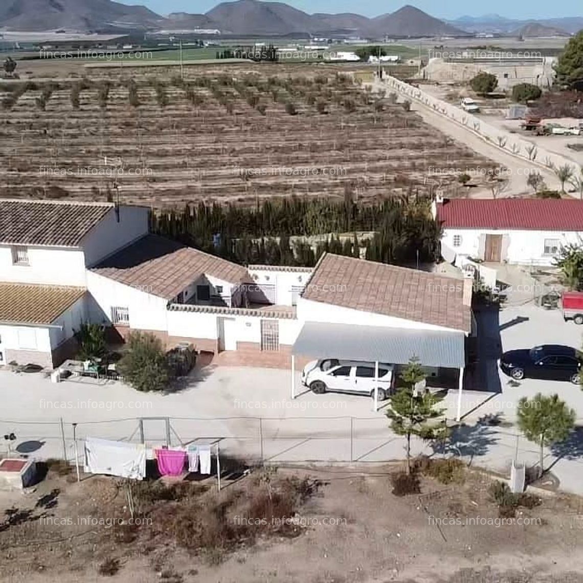 Fotos de En venta  finca agricola de pistachos con cortijo y loft