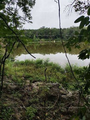 En venta  30 HECTÁREAS DE TERRENO  EN LA CARRETERA IZAMAL-CHICHÉN ITZÁ