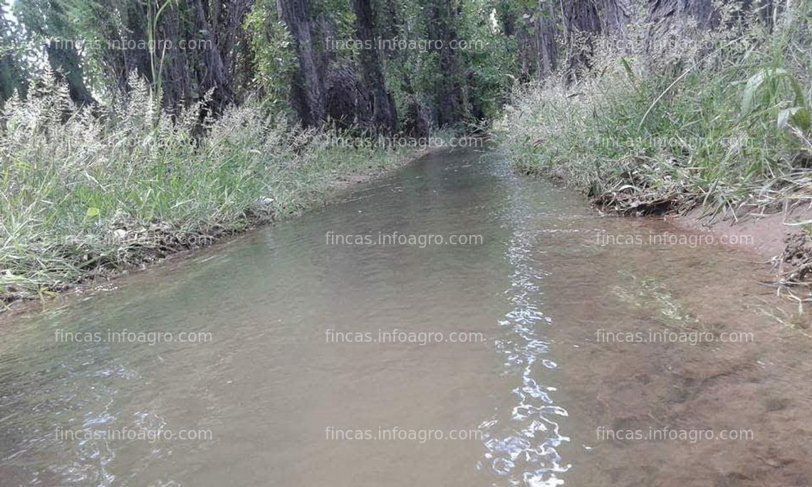 Fotos de A la venta finca 5 Hs cavernet