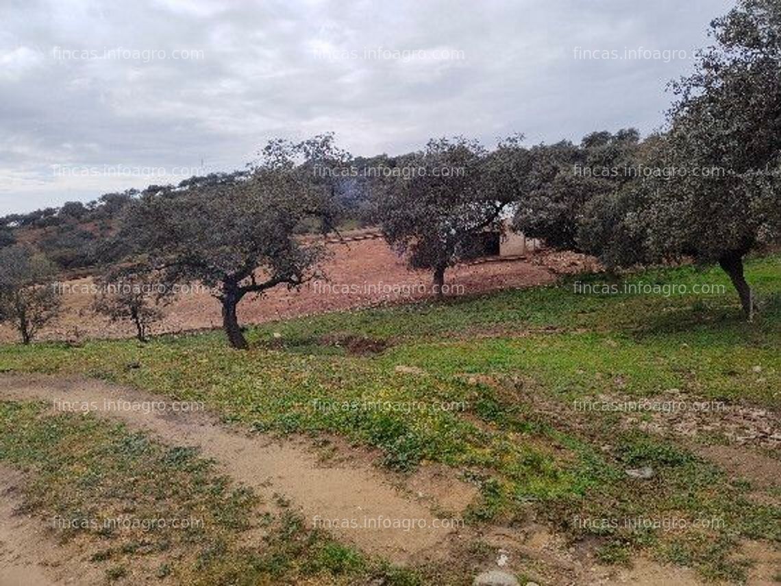 Fotos de Se vende Finca ganadera y de caza, alhambrada en su totalidad.