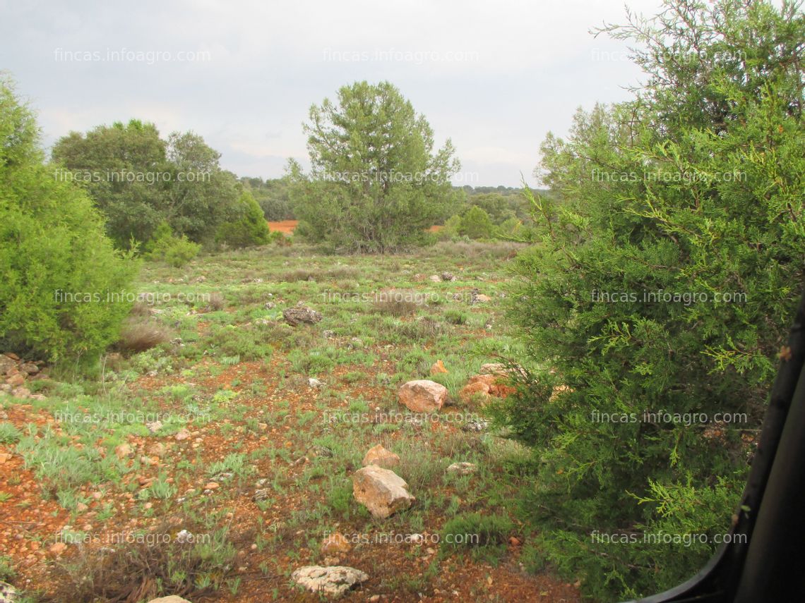 Fotos de A la venta Bonita Finca cerca Ruidera y Laguna Blanca(Villahermosa (C-Real))