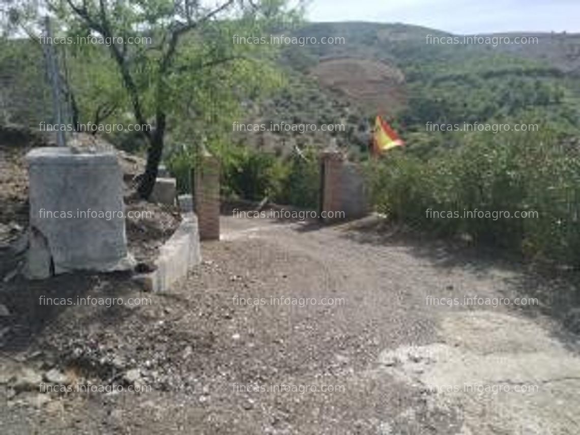 Fotos de En venta  Finca de recreo con producción de aguacates.