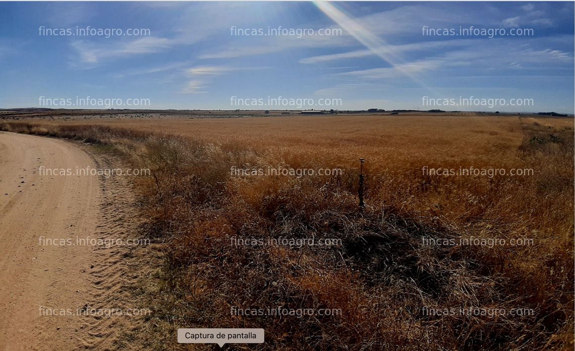 Fotos de A la venta finca rustica de secano 2 ha 32 a 65 ca