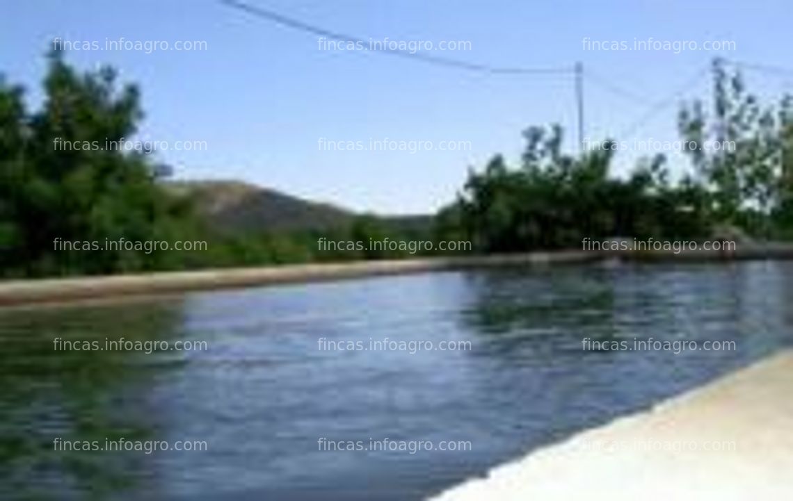 Fotos de A la venta Finca agrícola con caseta y almacén